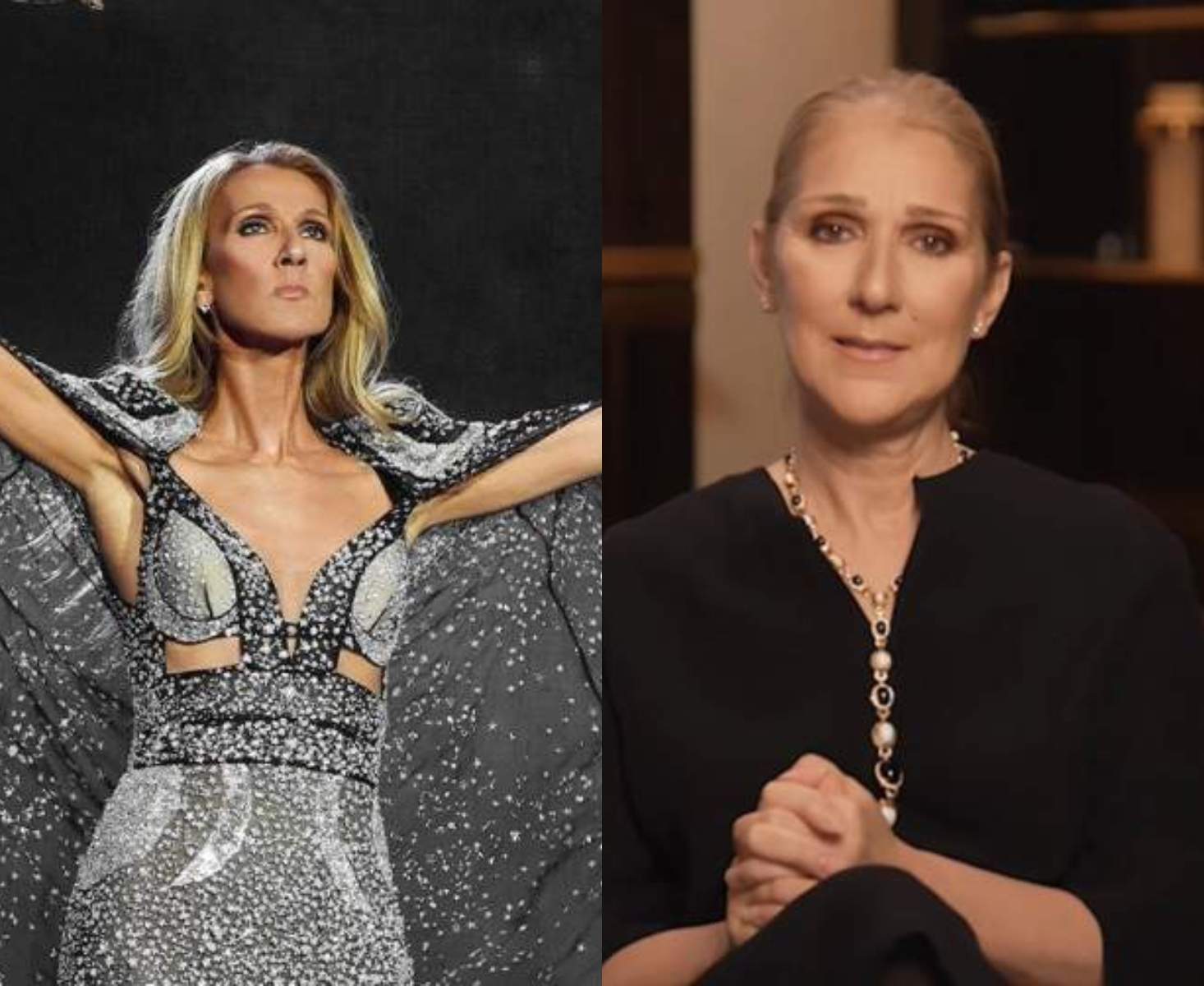 colaj din doua poze cu celine dion