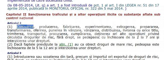Afaceriștii care livrează semințe de cannabis în România, salvați de DIICOT / „Fapta nu există!”