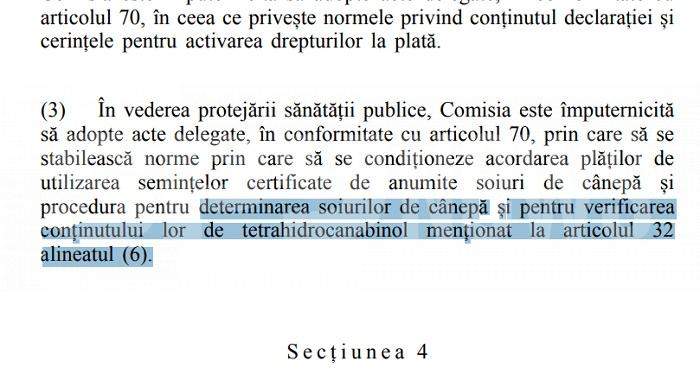 Afaceriștii care livrează semințe de cannabis în România, salvați de DIICOT / „Fapta nu există!”