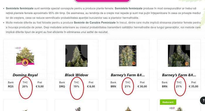 Afaceriștii care livrează semințe de cannabis în România, salvați de DIICOT / „Fapta nu există!”