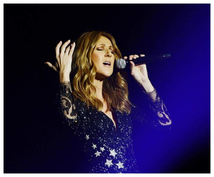 Celine Dion la concert