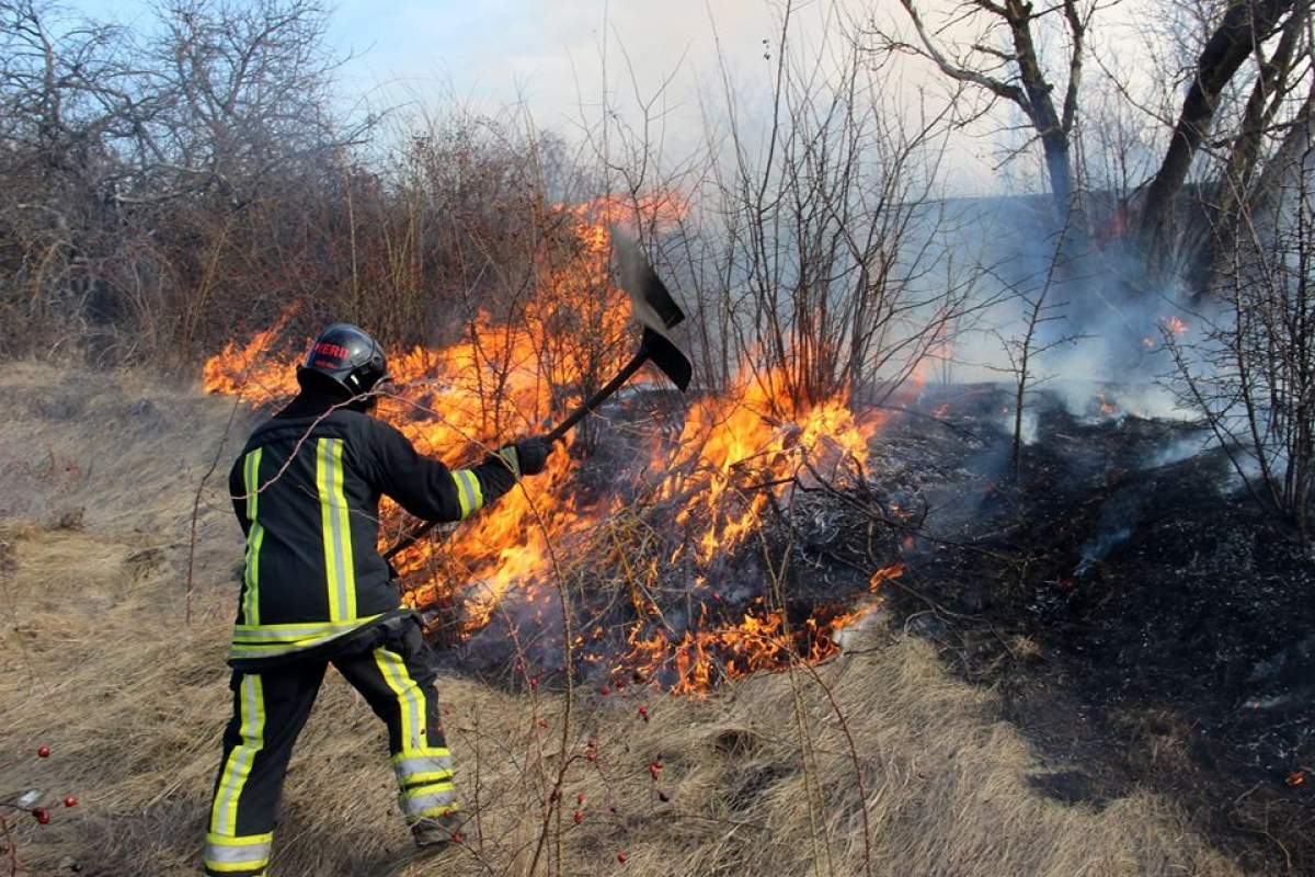 Incendiu puternic de vegetație în localitatea Buftea, în urmă cu puțin timp! 16 autospeciale intervin de urgență