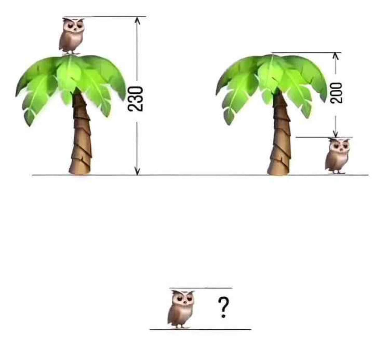 Test IQ! Doar geniile pot afla înălțimea bufniței și a copacului din imagine în 10 secunde / FOTO