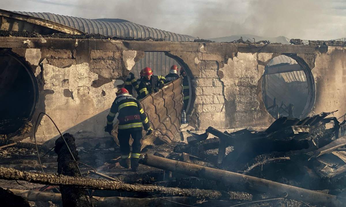 Pompieri la Ferma Dacilor după incendiu