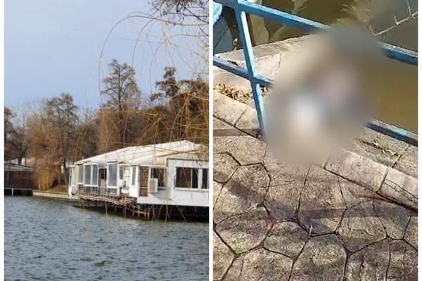 Caz șocant în București! O femeie, găsită moartă în Lacul Herăstrău / VIDEO