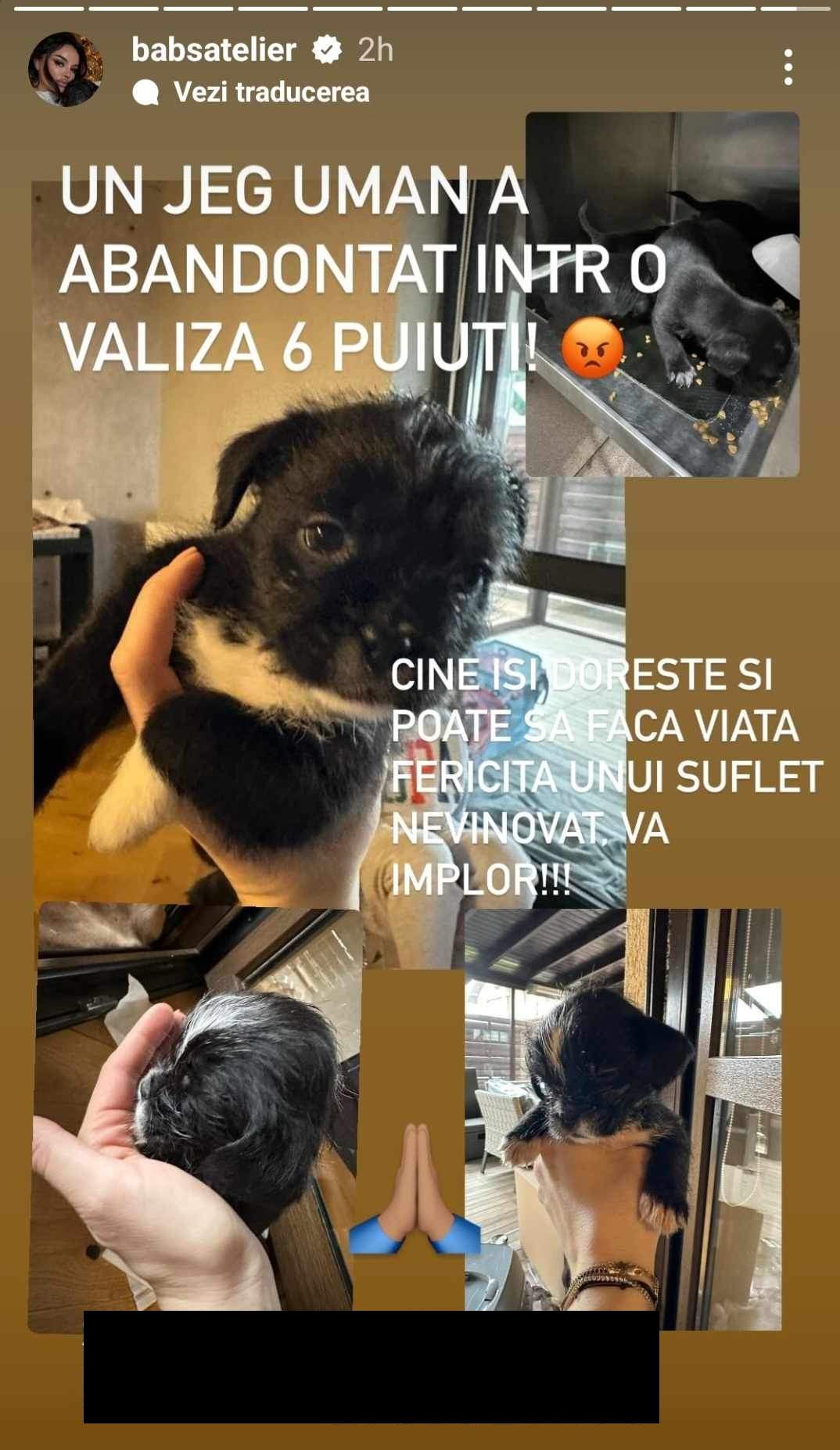 puii pe cățel pe care i-a găsit