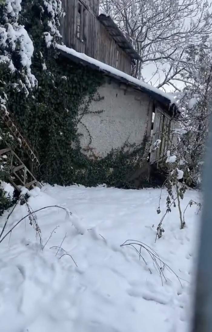 Așa arată casa lui Gheorghe Dincă, la aproape 5 ani după ce le-a dus în locuința sa pe Luiza Melencu și Alexandra Măceşanu