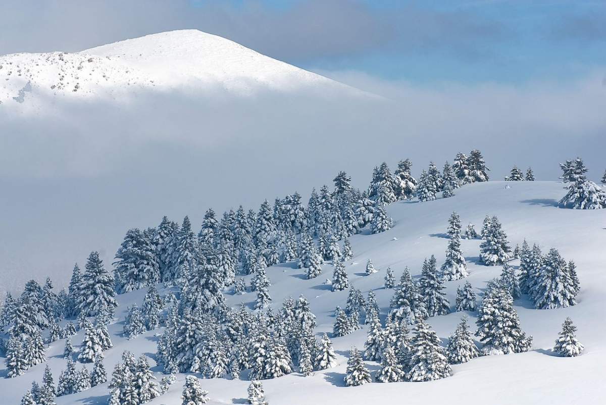 Ninsori în România