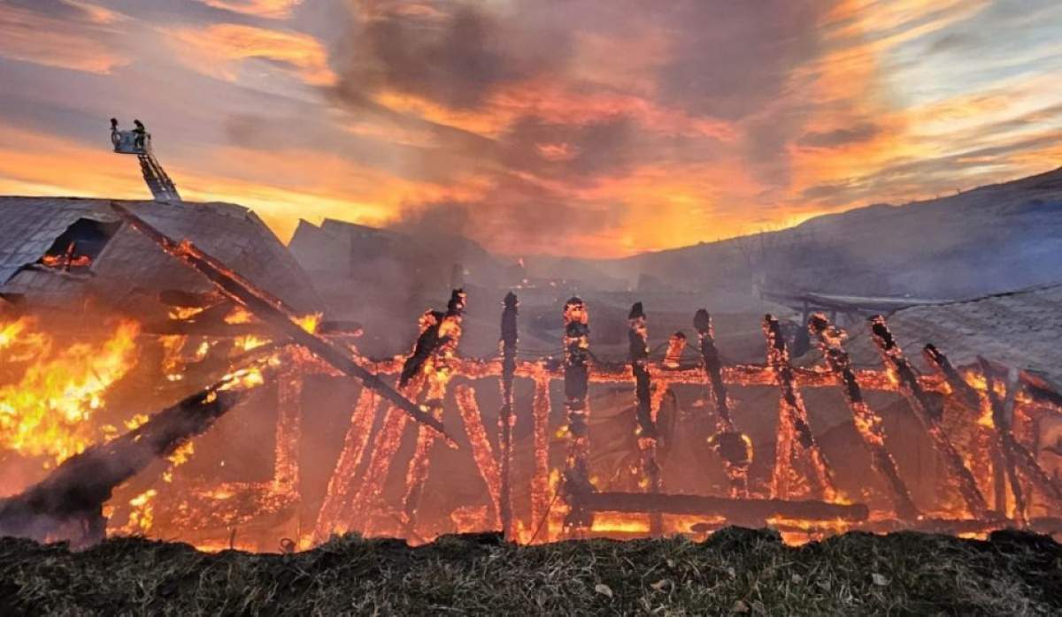 incendiu la Ferma Dacilor