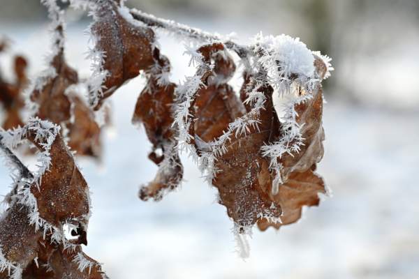 Temperaturi de îngheț în mai multe județe din țară! Cum va fi vremea spre finalul lunii octombrie. În unele zone din România sunt anunțate ninsori