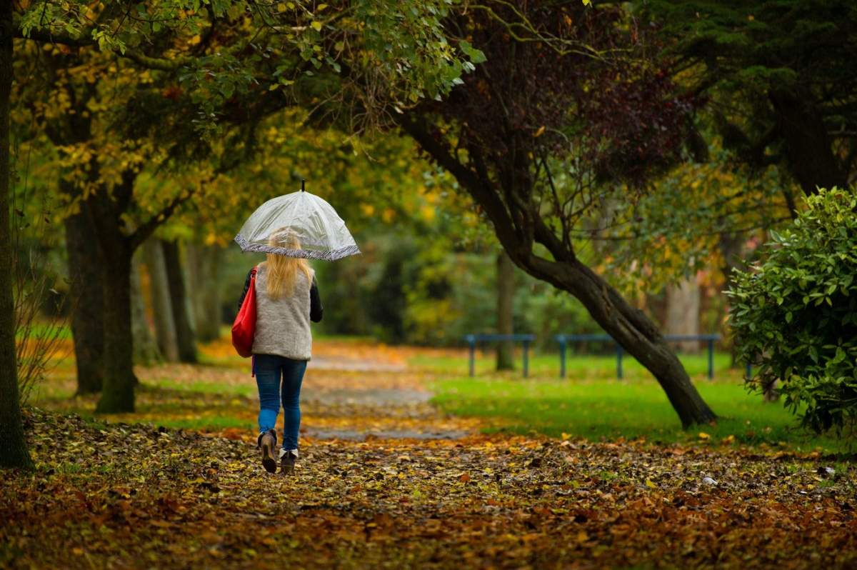 temperaturi noiembrie în România