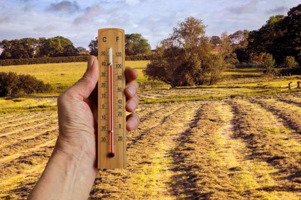 Cum va fi vremea la finalul lunii octombrie. Anunțul făcut de meteorologi. Prognoza actualizată