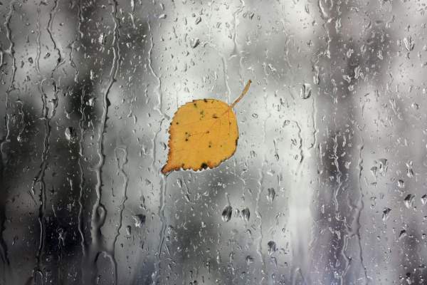 Alertă meteo în România! Se anunță un weekend cu furtună și temperaturi scăzute. Cum va fi vremea în București