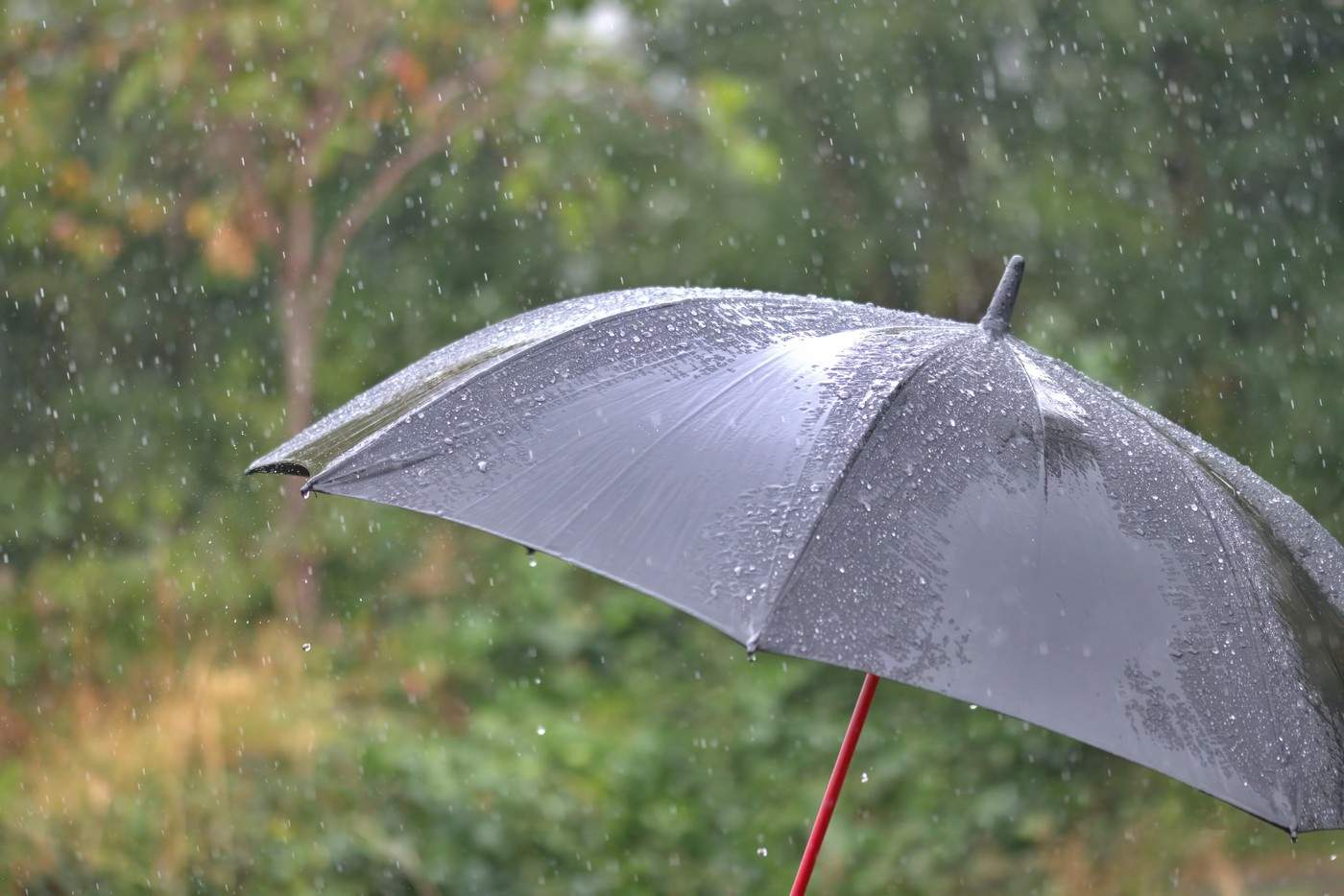 Ploile abundente continuă în România. Meteorologii au emis cod portocaliu de furtună