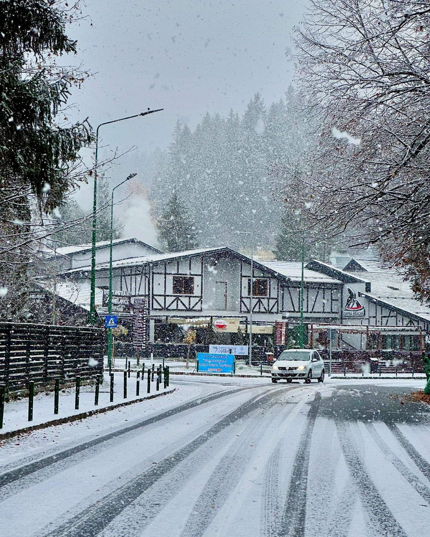 zapada brasov