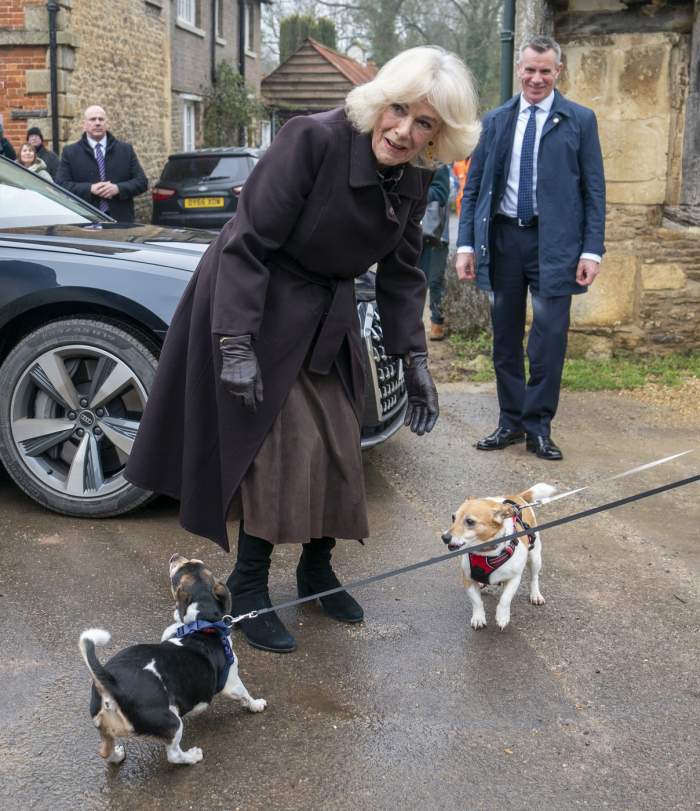 Doliu la Palatul Buckingham! Regina Camilla a pierdut un suflet drag / FOTO