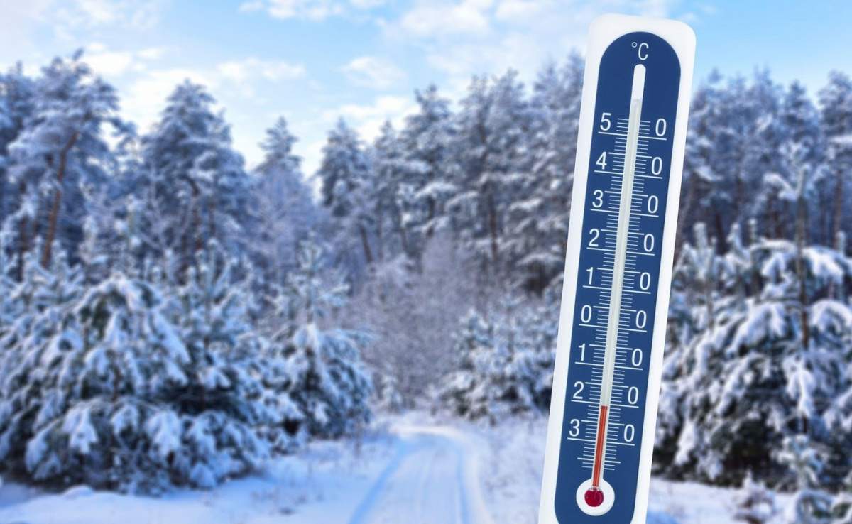 Minus temperaturi de iarnă într-un termometru arată temperatura scăzută pe fundalul pădurii acoperite cu zăpadă de iarnă.