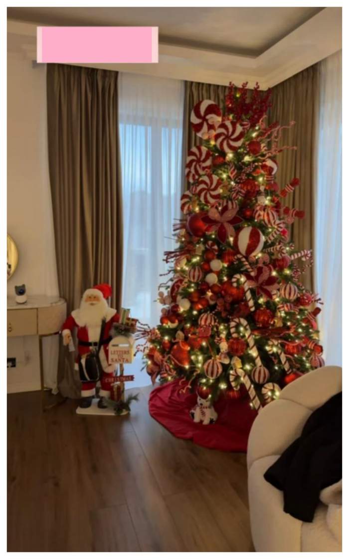 Oana Radu și-a împodobit brazii de Crăciun! Zici că sunt scosi din revistele de modă! Arată ca niște bijuterii / FOTO