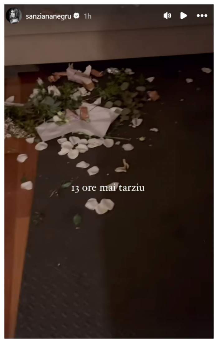 casa sanziana negru