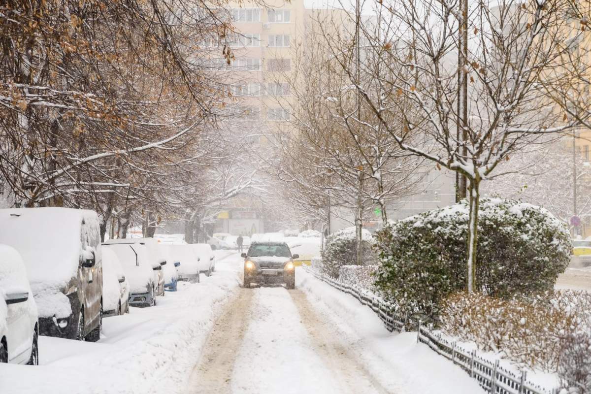 ninsori în București