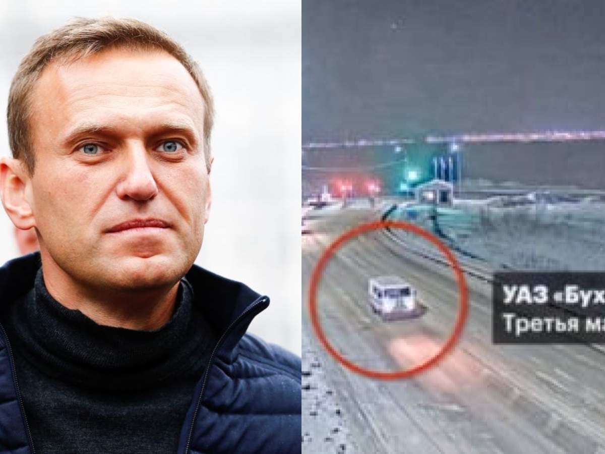 Colaj foto cu Alexei Navalnîi