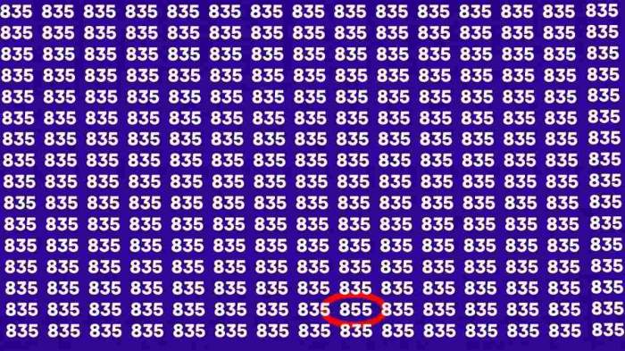 Test IQ iluzie optică! Identifică numărul 855 în imagine. Ai la dispoziție 11 secunde pentru a da un răspuns corect / FOTO