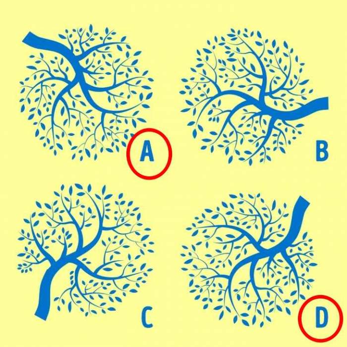 Test de inteligență! Găsește cei doi copaci identici din imagine. Ai la dispoziție 5 secunde / FOTO