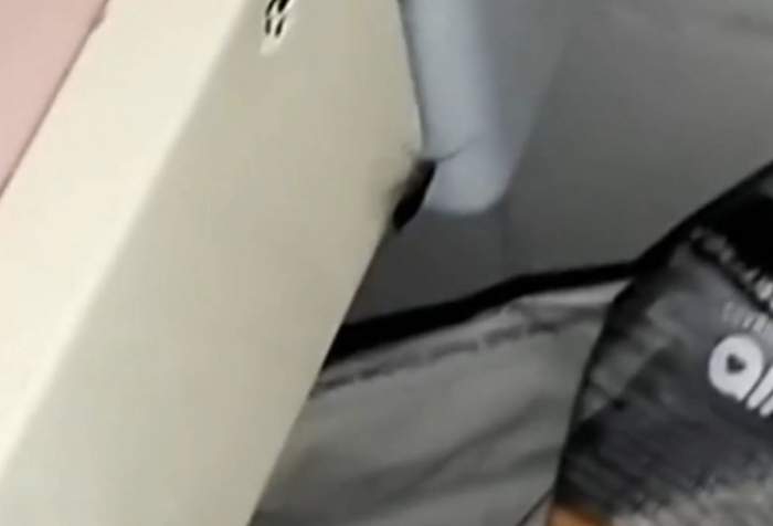 Alertă la spitalul de copii din Botoşani. Gândaci, surprinși în saloanele celor mici / FOTO