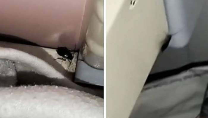 Mai mulți fândaci au fost surprinși în saloanele celor mici