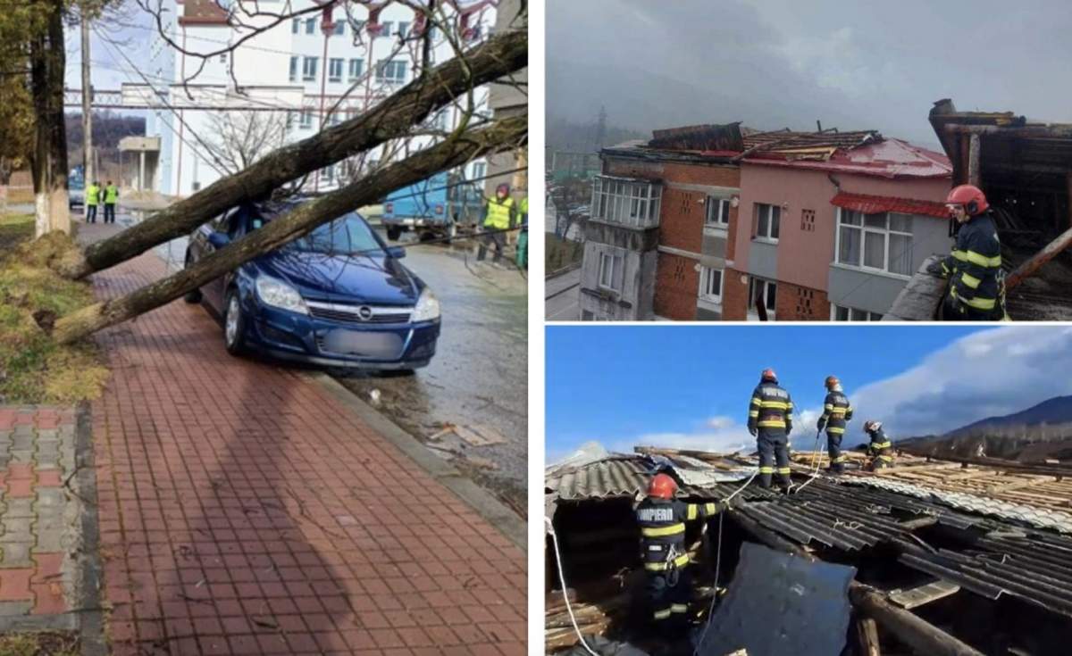 Mai mulți copaci au căzut peste maşini, iar multe dintre acoperişurile caselor au fost smulse de vijeliile puternice