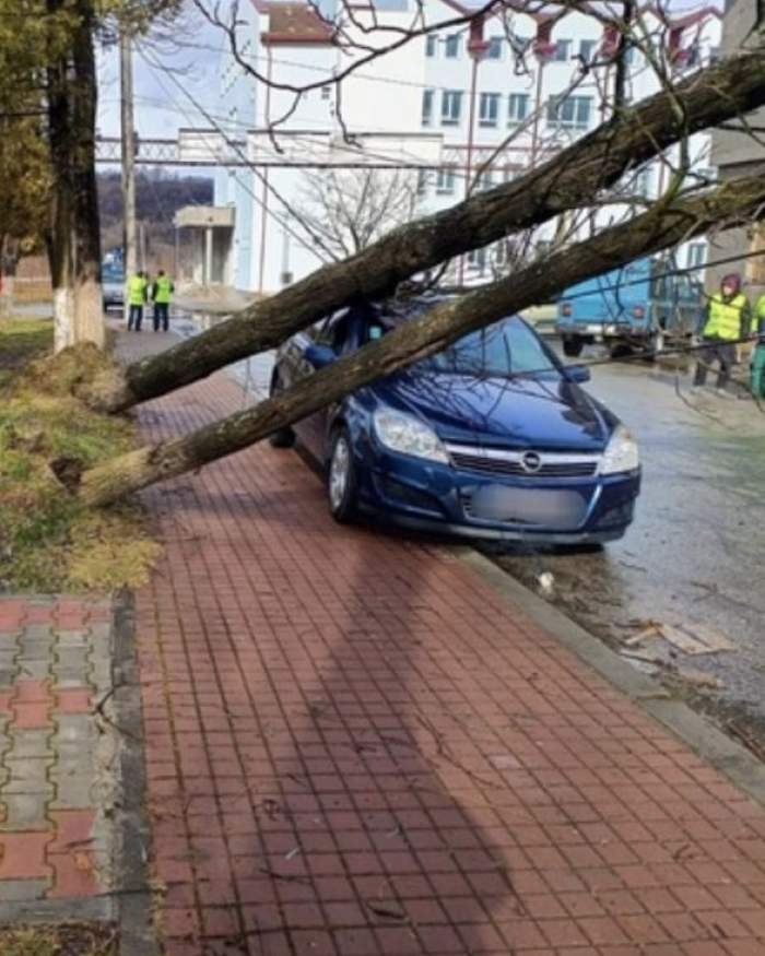 Mai mulți copaci au căzut peste maşini, iar multe dintre acoperişurile caselor au fost smulse de vijeliile puternice