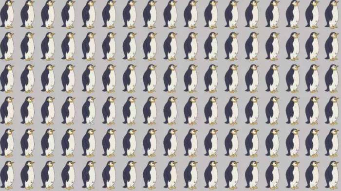 Doar geniile pot observa pinguinul ciudat din imagine în 11 secunde! Testul de iluzie optică pe care puține persoane îl pot rezolva / FOTO