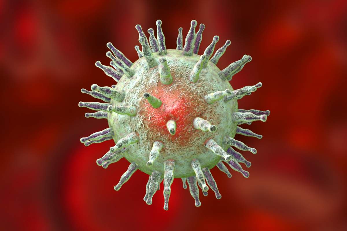 ilustrația unui virus