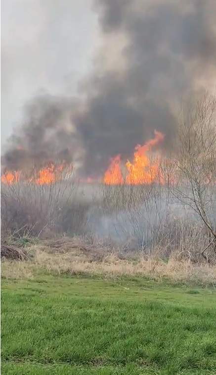 incendiu delta neajlovului