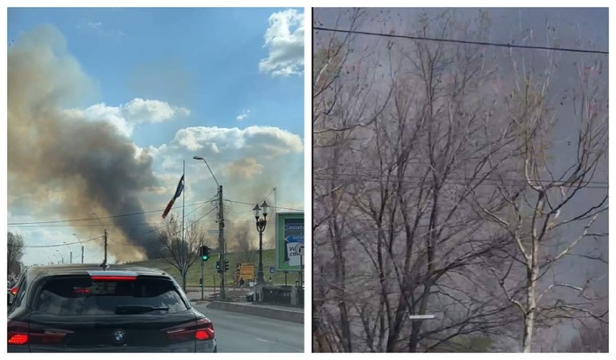 Incendiu puternic în Delta Văcăreşti. Flăcările s-au extins pe 1.000 de metri pătrați / FOTO