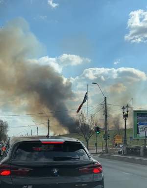 Incendiu puternic în Delta Văcăreşti. Flăcările s-au extins pe 1.000 de metri pătrați / FOTO