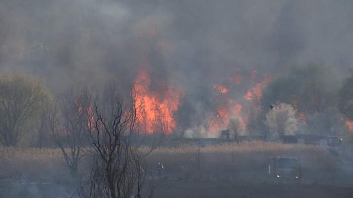 incendiu la Delta Văcărești