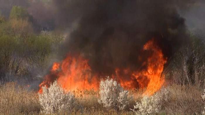 incendiu la Delta Văcărești