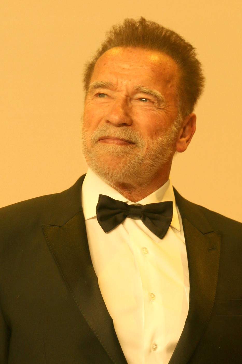 Arnold Schwarzenegger