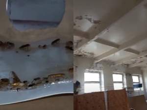 Alertă sanitară! S-au găsit gândaci și șoareci morți în cantina unui liceu, în Timișoara: „3 capcane de rozătoare...”