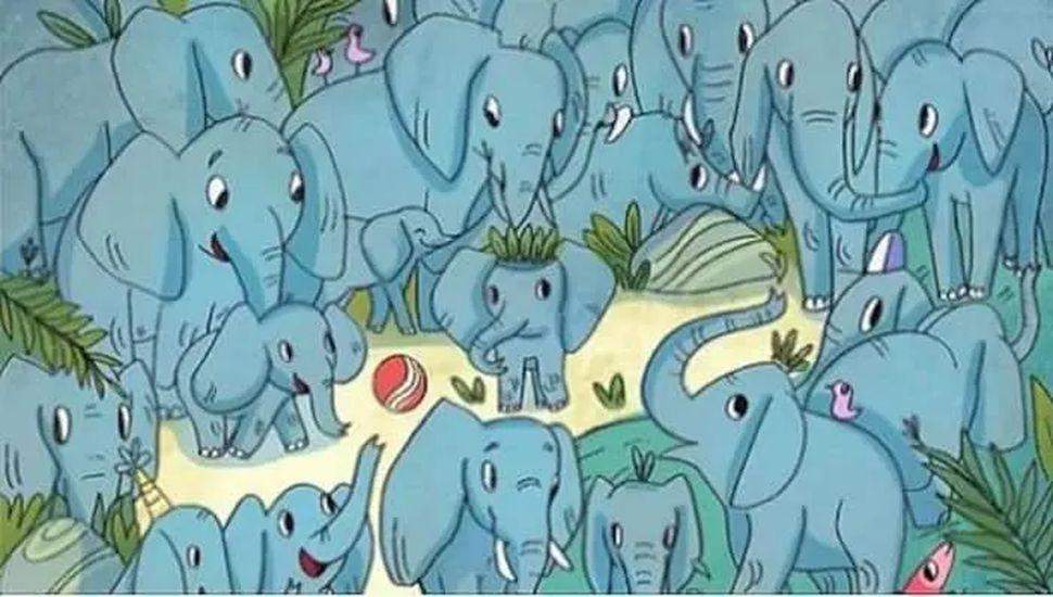 Toată lumea poate vedea elefanţii din imagine, dar numai geniile vor identifica rinocerul. Testul IQ al sfârșitului de săptămână