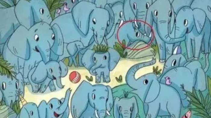 Toată lumea poate vedea elefanţii din imagine, dar numai geniile vor identifica rinocerul. Testul IQ al sfârșitului de săptămână