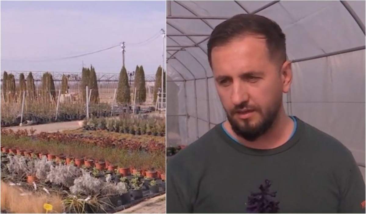 Un român vinde o plantă extrem de rară