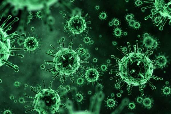 Risc de epidemie în întreaga lume? Un nou virus se răspândește
