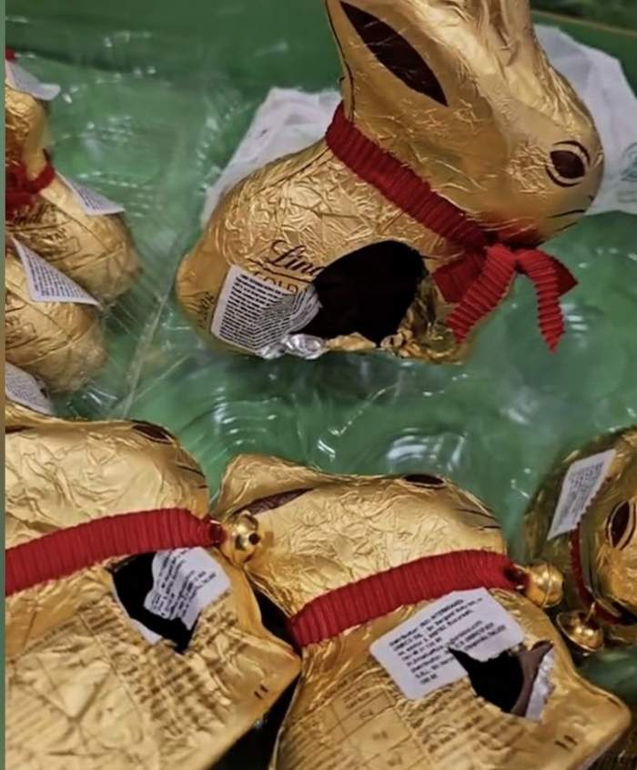 Imagine cu iepurași de ciocolata sparți in magazine