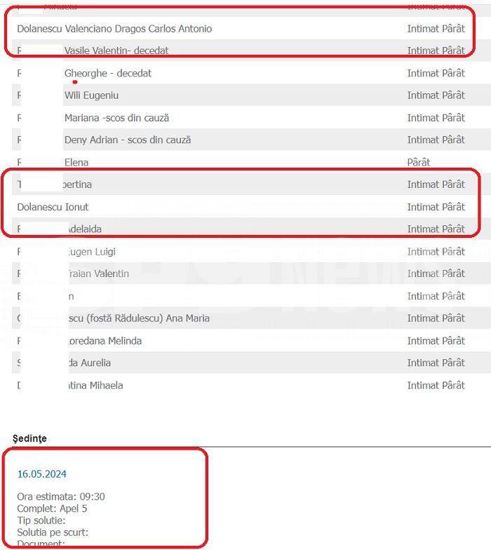 Frații Dolănescu, din nou la tribunal / Miza: 20.000 de euro