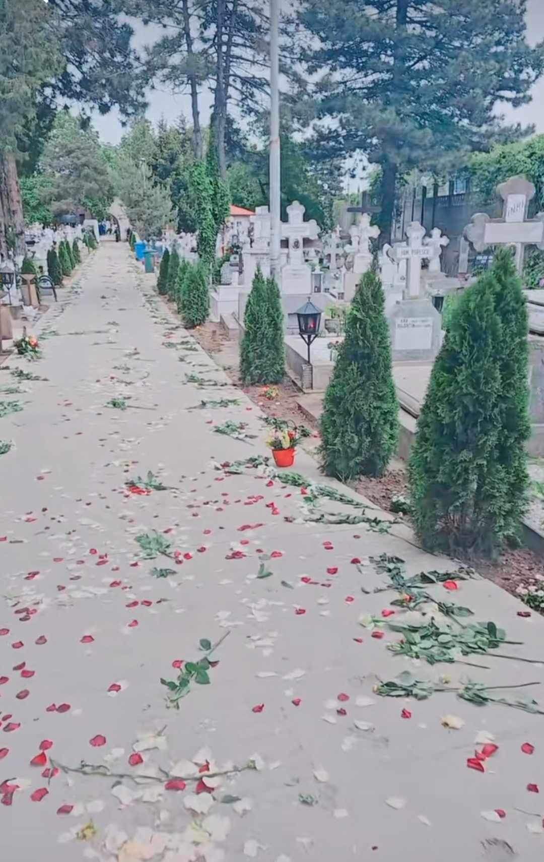 cimitirul unde a fost înmormântat Lucas.