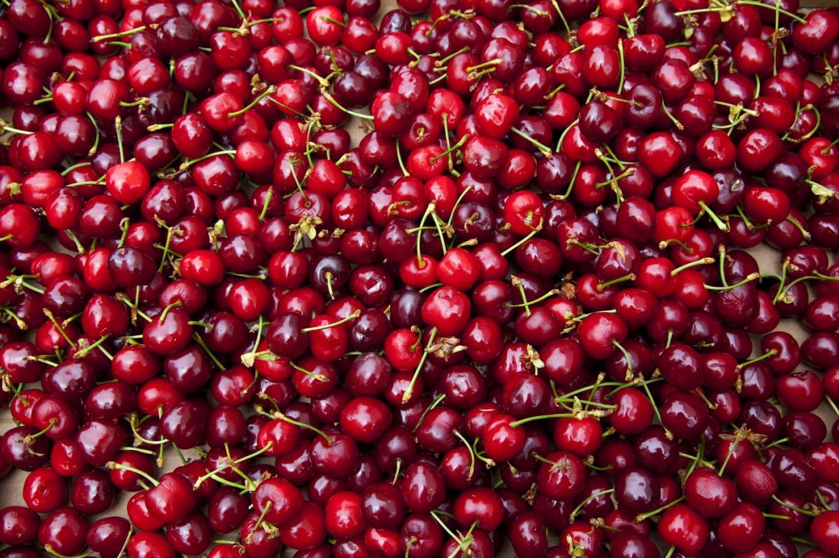Cireșele roșii sunt fructe cu sâmburi mici și rotunde, de obicei de culoare roșie aprinsă sau închisă.