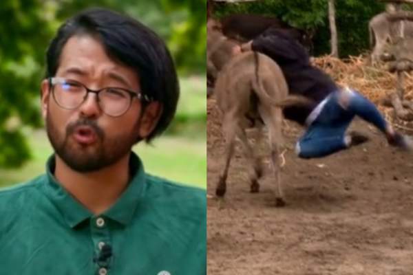 Poftiți pe la noi. Rikito Watanabe, clipe de panică! Ce s-a întâmplat în momentul în care bucătarul a încercat să călărească un măgar: „A duduit pământul ...” / VIDEO