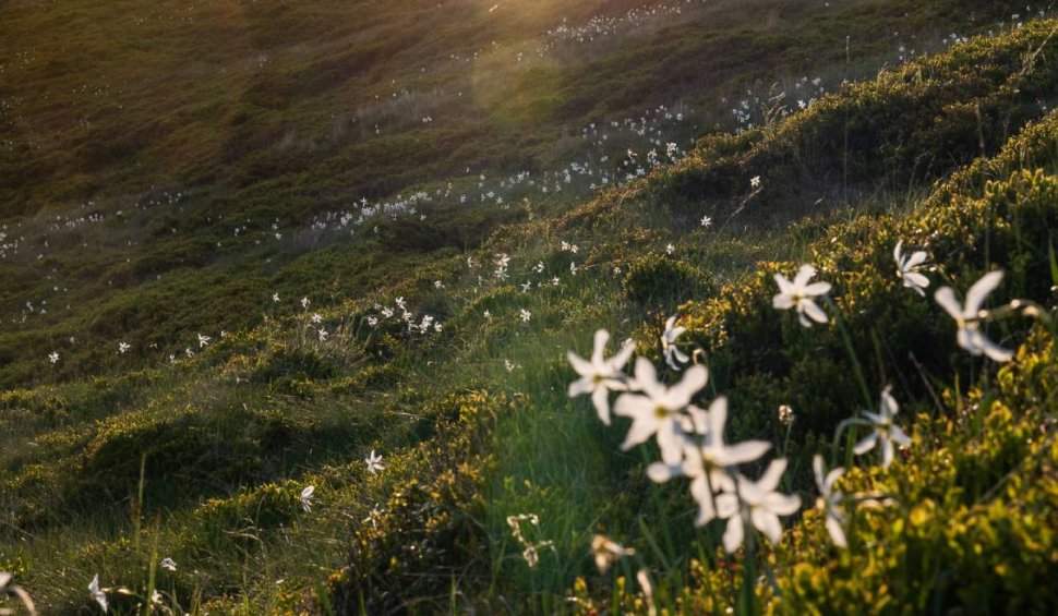 Pasul Vâlcan este foarte frumos de vizitat